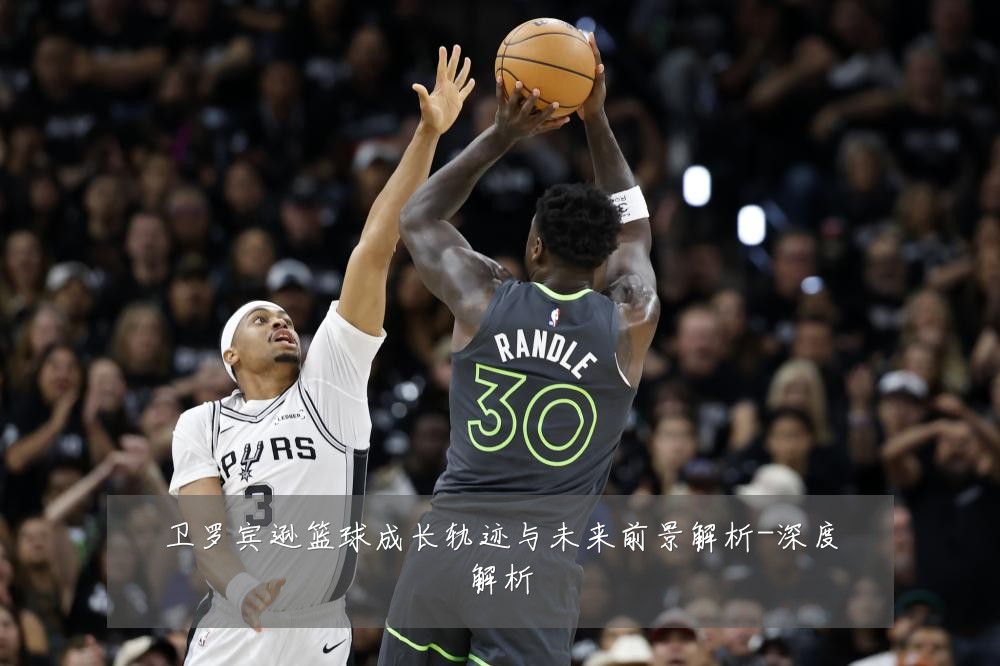 卫罗宾逊篮球成长轨迹与未来前景解析-深度解析